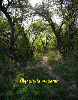 Objawienia prywatne – ebooki