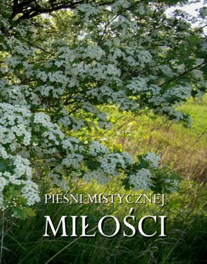 Pieśni mistycznej miłości – ebooki