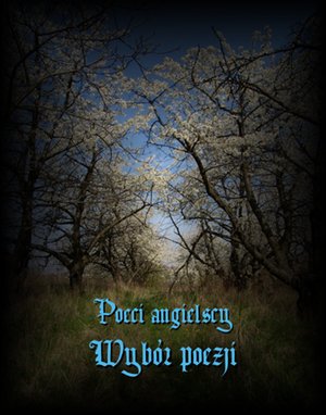 Poeci angielscy – ebooki
