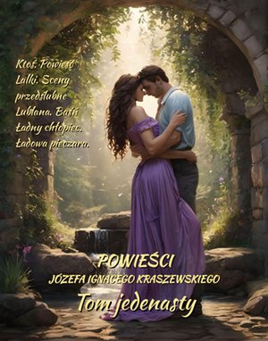 Powieści Józefa Ignacego Kraszewskiego. Tom 11 – ebooki