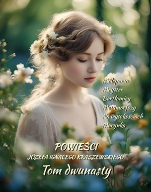 Powieści Józefa Ignacego Kraszewskiego. Tom 12 – ebooki