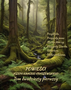 Powieści Józefa Ignacego Kraszewskiego. Tom 21 – ebooki