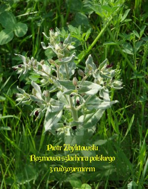 Rozmowa szlachcica polskiego z cudzoziemcem – ebooki