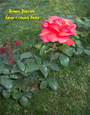 Śpiew o czujnej duszy – ebooki