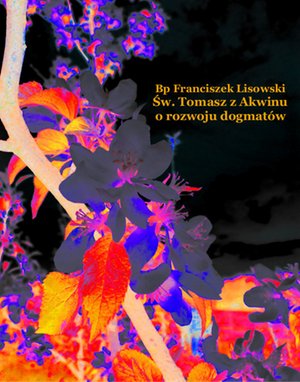 Św. Tomasz z Akwinu o rozwoju dogmatów – ebooki