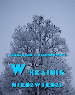 W krainie niedźwiedzi – ebooki