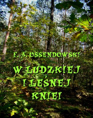 W ludzkiej i leśnej kniei – ebooki