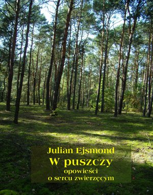 W puszczy – ebooki