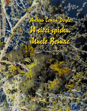 W sieci spisku – ebooki