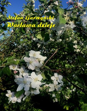 Wacława dzieje – ebooki