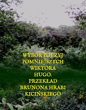 Wybór poezyj pomniejszych Wiktora Hugo. – ebooki
