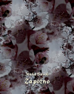 Za późno. Nowela – ebooki