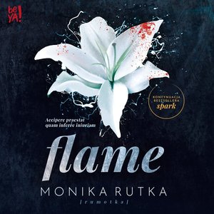 Flame – audiobook
