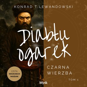 Diabłu ogarek. Czarna Wierzba – audiobook