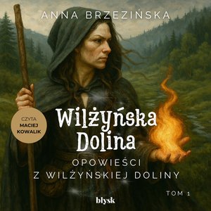 Opowieści z Wilżyńskiej Doliny – audiobook