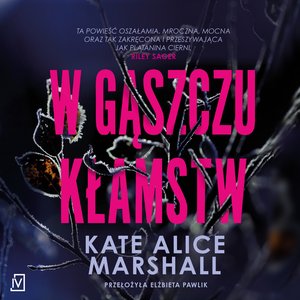 W gąszczu kłamstw – audiobooki
