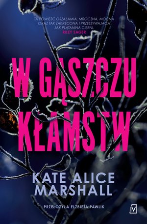 W gąszczu kłamstw – ebooki