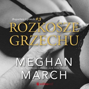 Rozkosze grzechu. Bogactwo i grzech #3 – audiobook