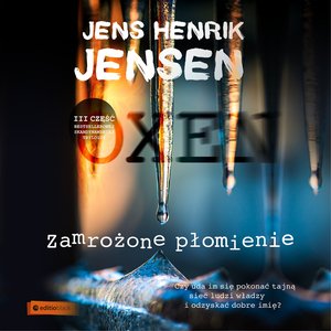Zamrożone płomienie – audiobook