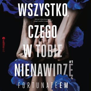 Wszystko, czego w tobie nienawidzę #1 – audiobook