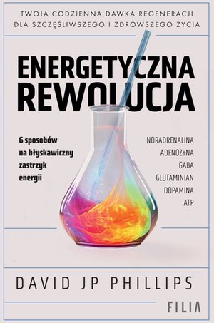 Energetyczna rewolucja – ebook