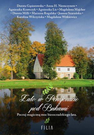 Lato w Pensjonacie pod Bukami – ebooki