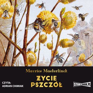 Życie pszczół – audiobooki
