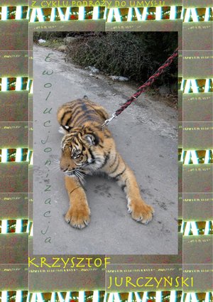 Ewolucjonizacja – ebooki