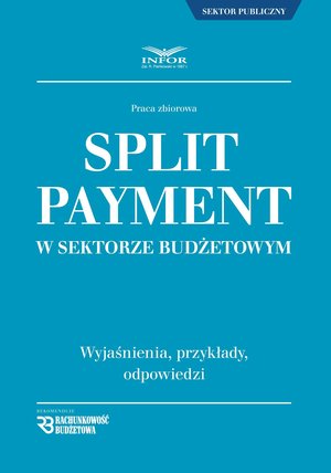Split payment w sektorze budżetowym – ebook