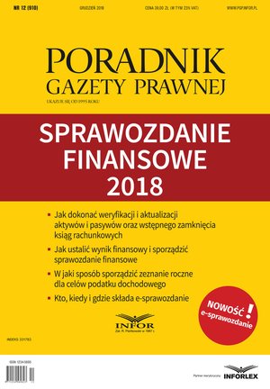 Sprawozdanie finansowe w firmie – ebook