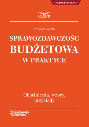 Sprawozdawczość budżetowa w praktyce – ebook