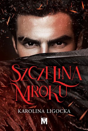 Szczelina mroku – ebook
