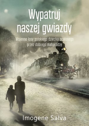 Wypatruj naszej gwiazdy – ebook