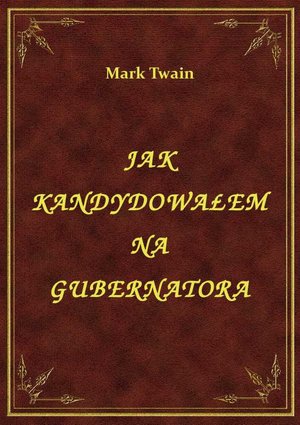 Jak Kandydowałem Na Gubernatora – ebook