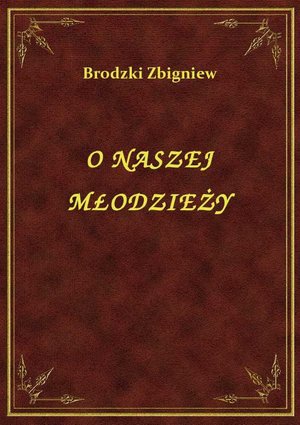 O naszej młodzieży słów kilka – ebook