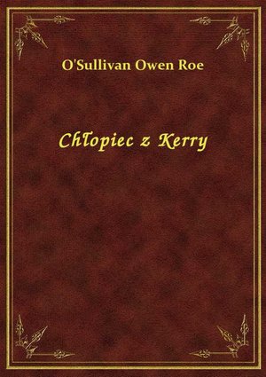 Chłopiec z Kerry – ebook