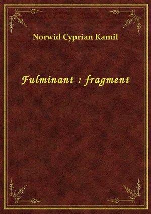 Fulminant : fragment – ebook
