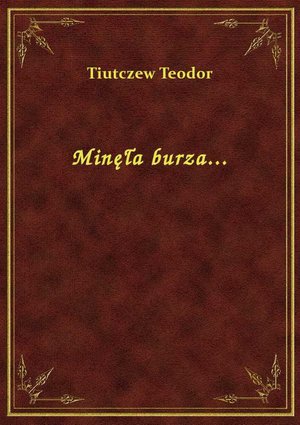 Minęła burza... – ebook