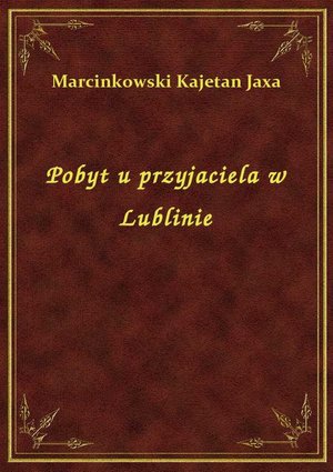 Pobyt u przyjaciela w Lublinie – ebook
