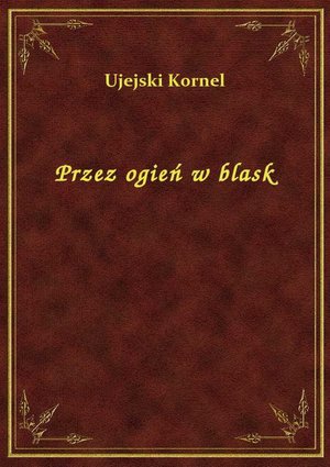 Przez ogień w blask – ebook