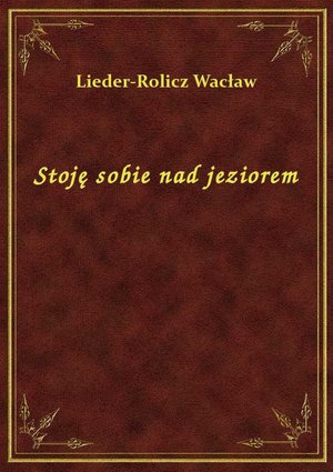 Stoję sobie nad jeziorem – ebook