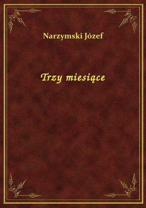 Trzy miesiące – ebook