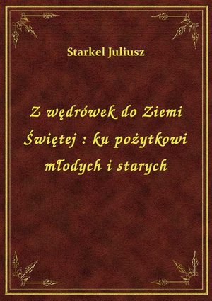 Z wędrówek do Ziemi Świętej : ku pożytkowi młodych i starych – ebook