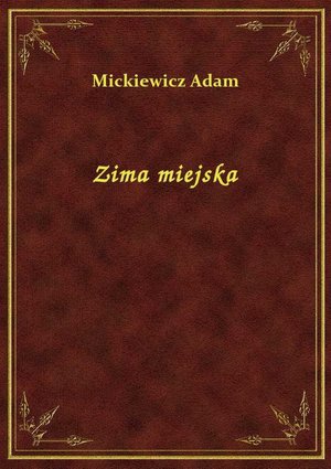 Zima miejska – ebook