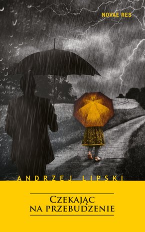Czekając na przebudzenie – ebook