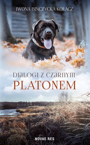 Dialogi z czarnym Platonem – ebook