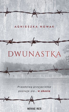 Dwunastka – ebook