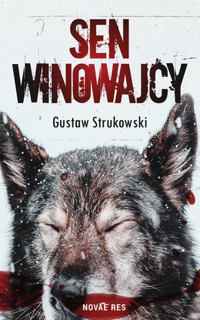 Sen winowajcy – ebook