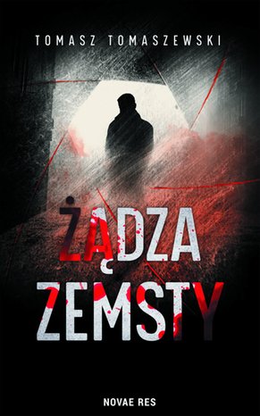 Żądza zemsty – ebook