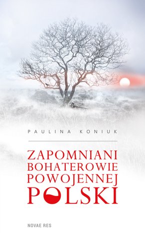 Zapomniani bohaterowie – ebook